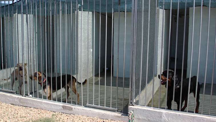 Hotel-Canino-2